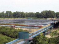 Проточные форелевые пруды, применяемые для выращивания товарных осетров